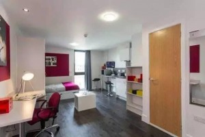 大廳大房.旺中帶靜.實用見稱.